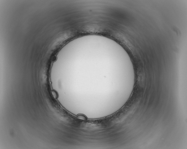 X0000110320635200906042044