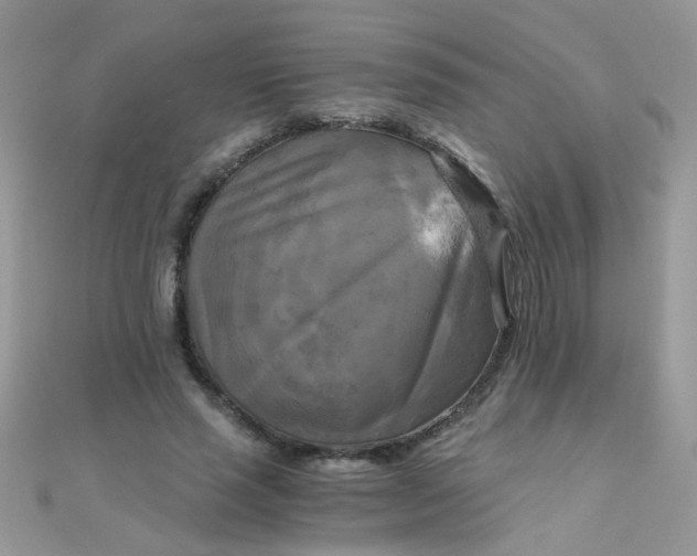 X0000110320637200906042044