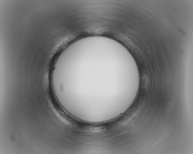 X0000110320638200906042044