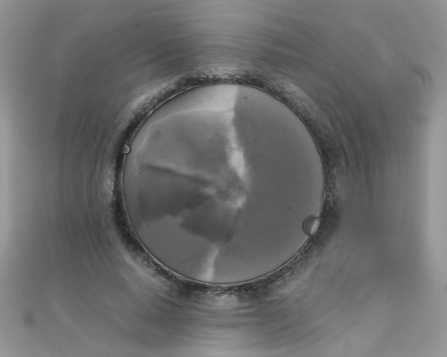 X0000110320640200906042044