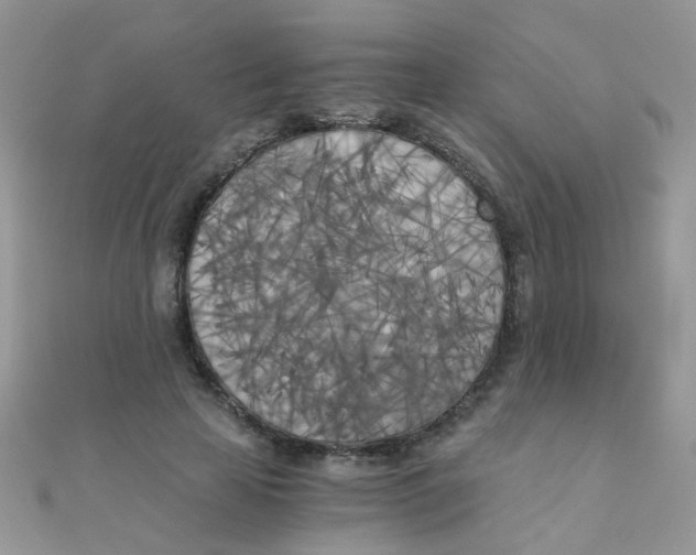 X0000110320641200906042044