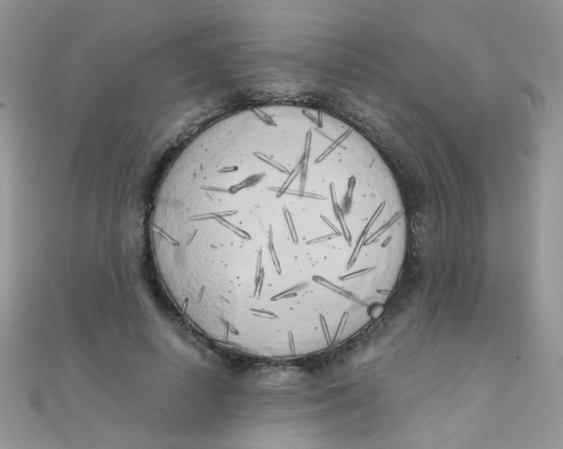 X0000110320642200906042044