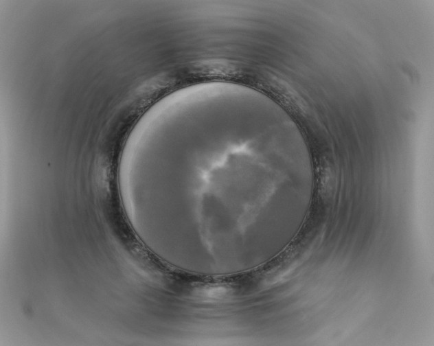 X0000110320643200906042044