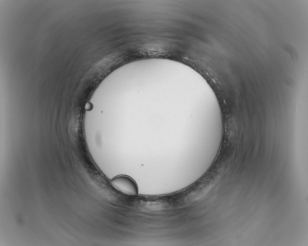 X0000110320645200906042044