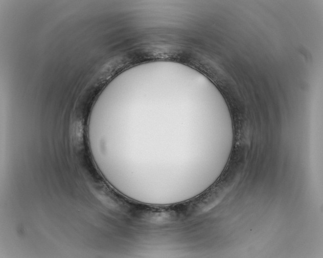 X0000110320646200906042044