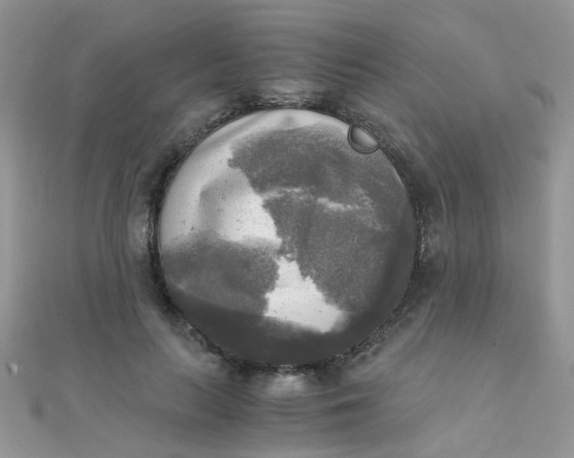 X0000110320647200906042044