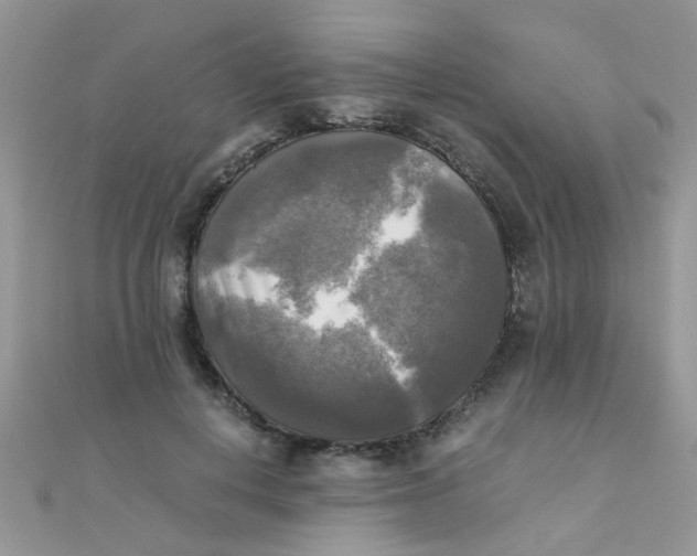 X0000110320648200906042045