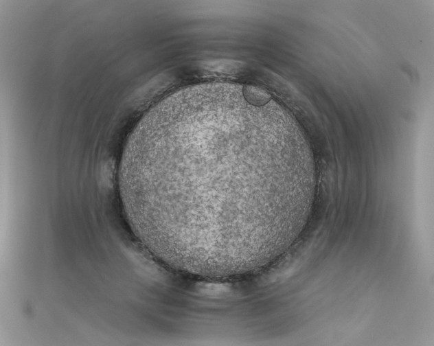 X0000110320649200906042045