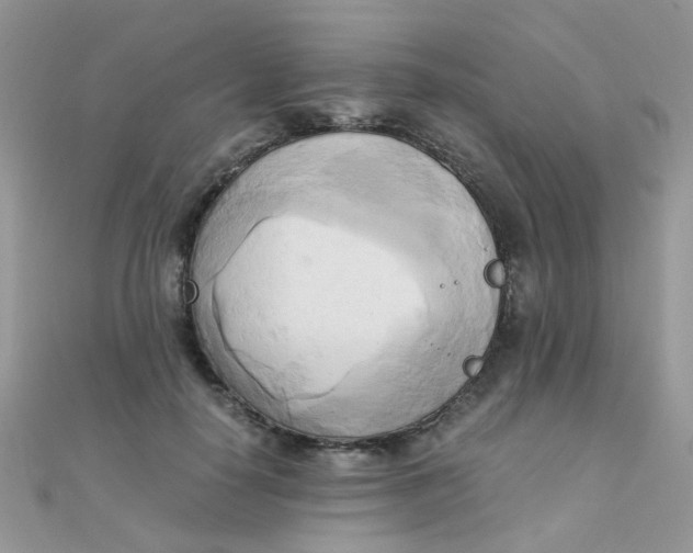 X0000110320650200906042045