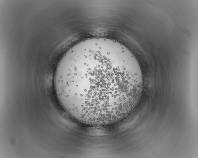 X0000110320652200906042045