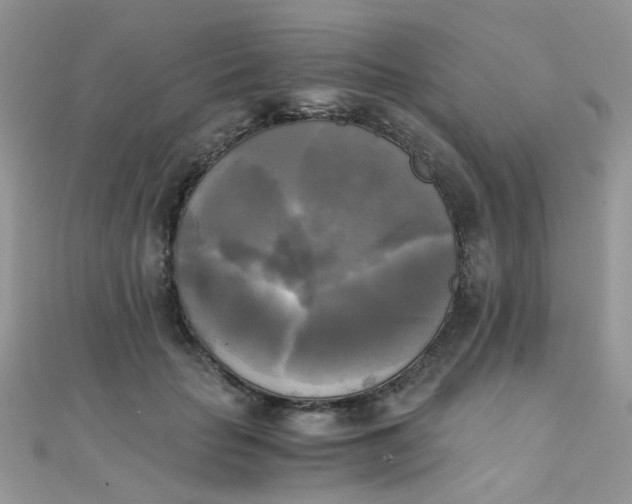 X0000110320653200906042045