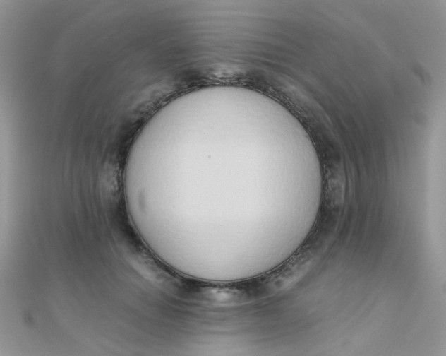 X0000110320654200906042045