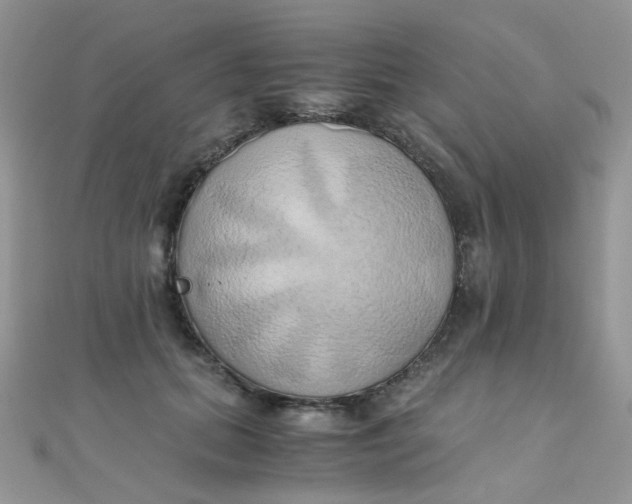 X0000110320655200906042045