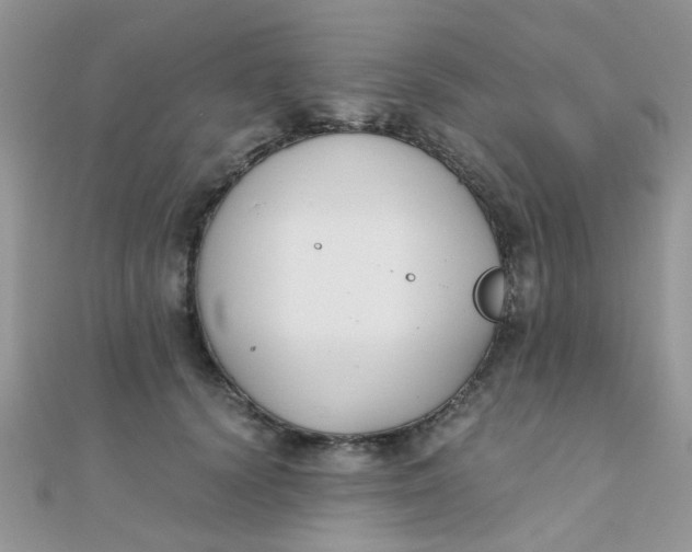 X0000110320656200906042045