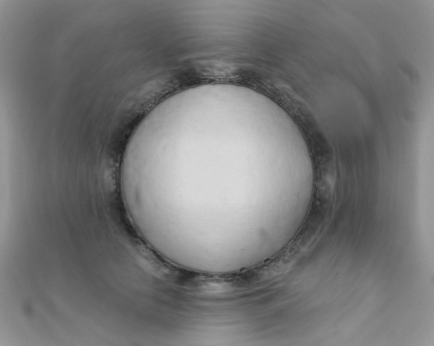 X0000110320658200906042045