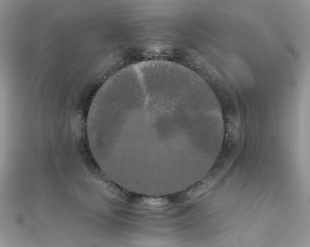 X0000110320659200906042045