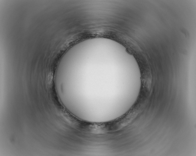 X0000110320660200906042045