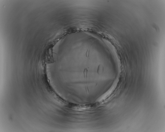 X0000110320661200906042045