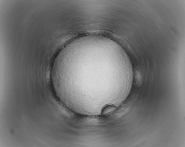 X0000110320668200906042045