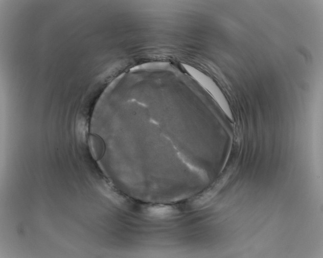 X0000110320669200906042045