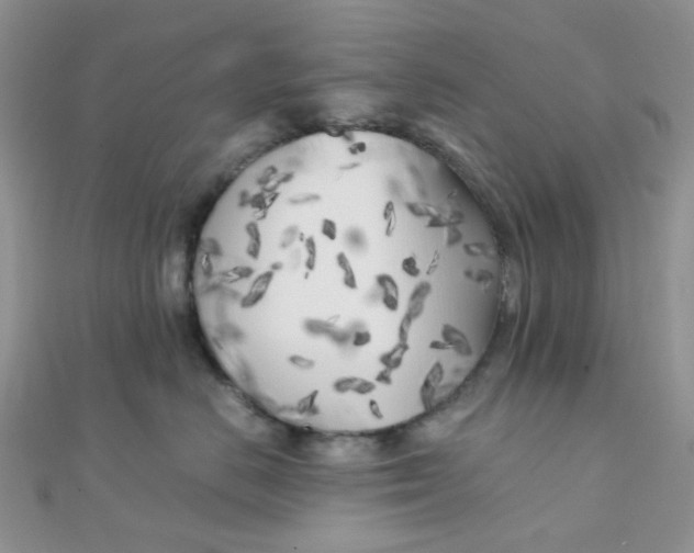 X0000110320670200906042045