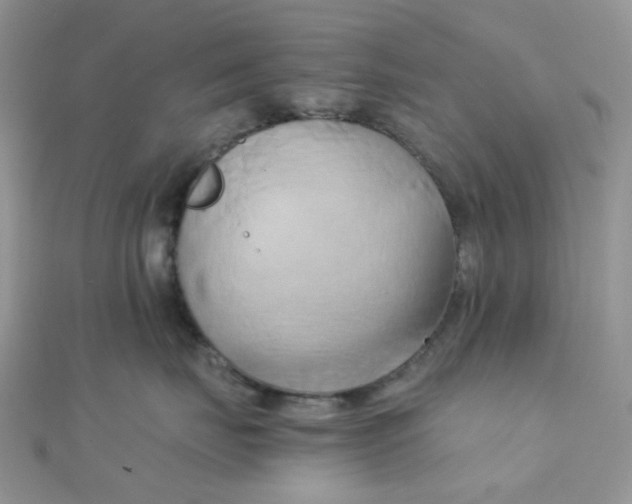 X0000110320671200906042045