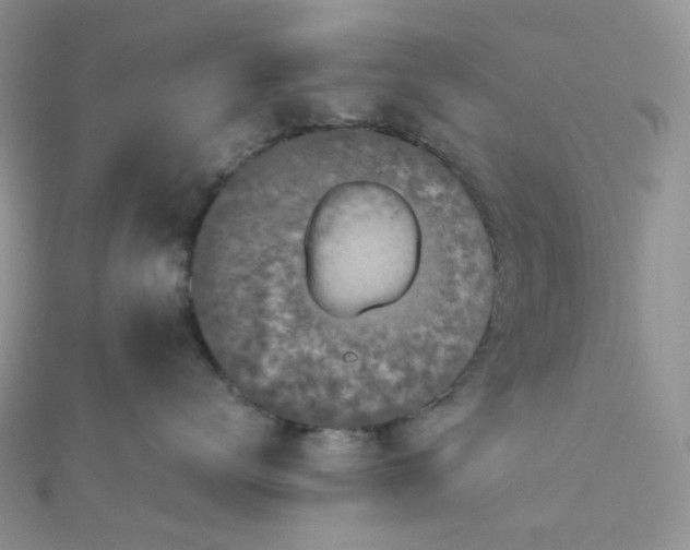 X0000110320672200906042045