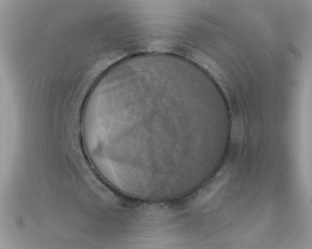 X0000110320673200906042044