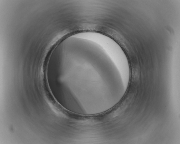 X0000110320674200906042044