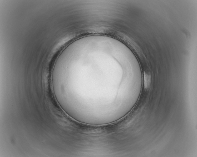 X0000110320675200906042044