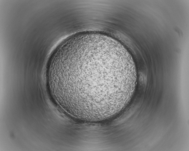 X0000110320676200906042044