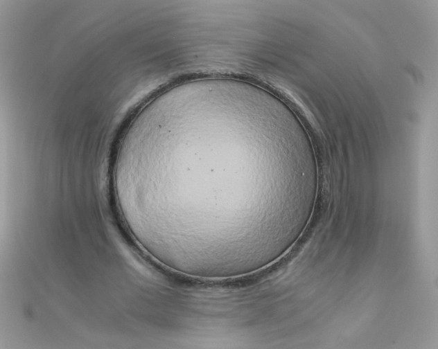 X0000110320677200906042044