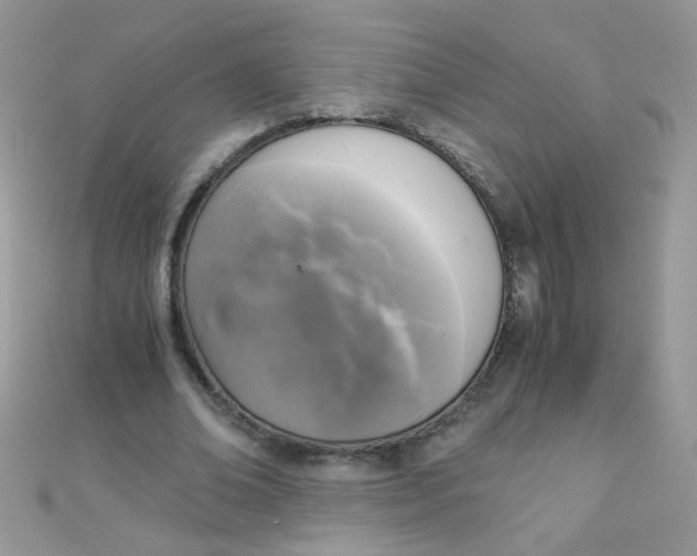 X0000110320678200906042044