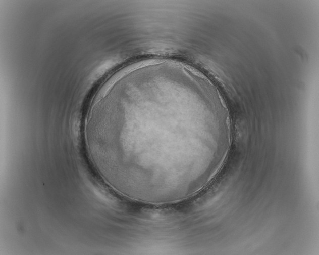 X0000110320679200906042044