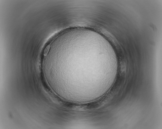 X0000110320680200906042044