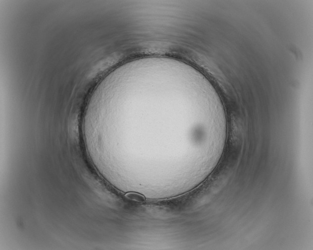 X0000110320681200906042044