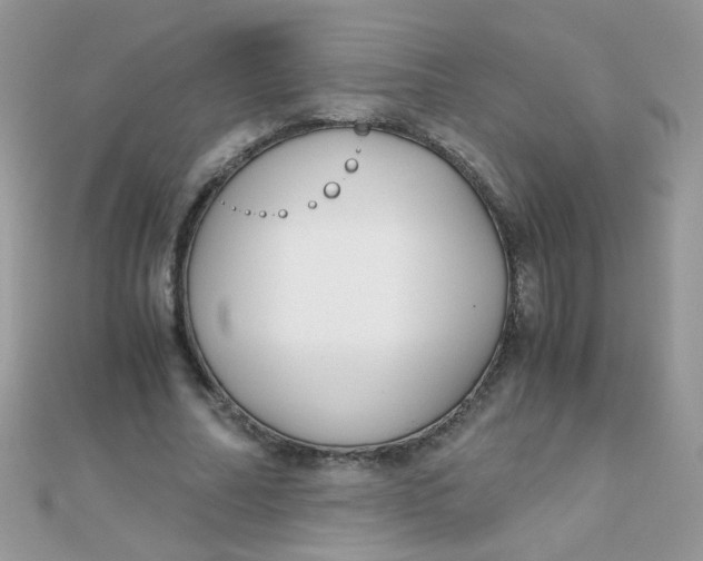 X0000110320682200906042044