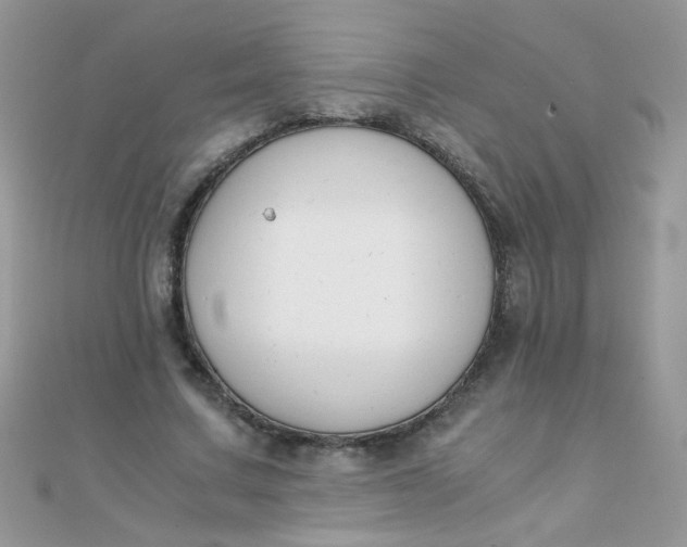 X0000110320683200906042044