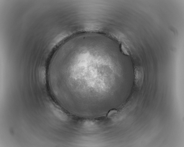 X0000110320684200906042044