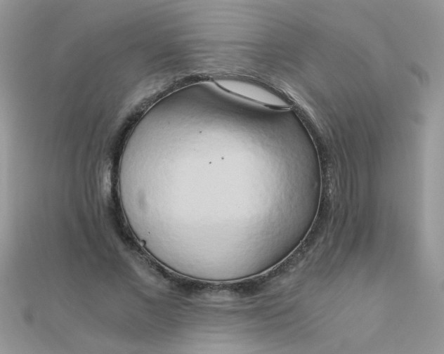 X0000110320685200906042044