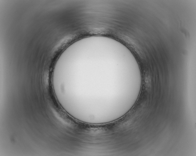 X0000110320686200906042044