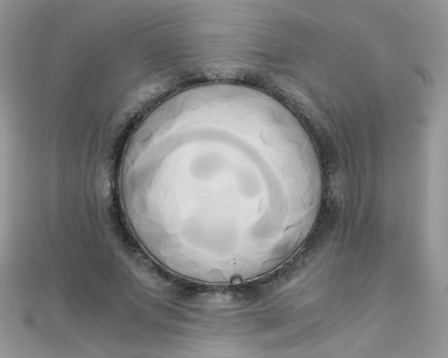 X0000110320687200906042044