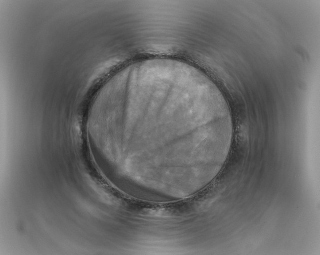 X0000110320688200906042044