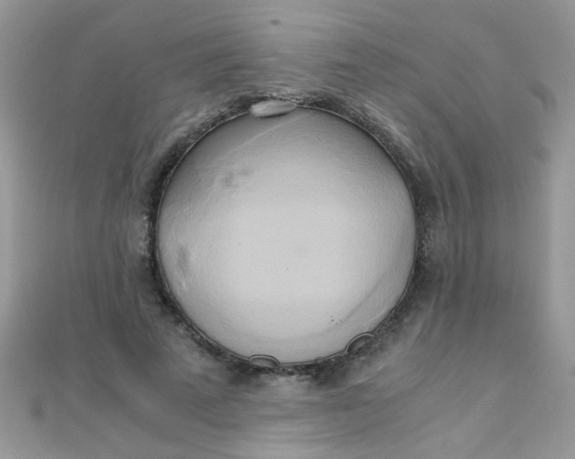 X0000110320689200906042044