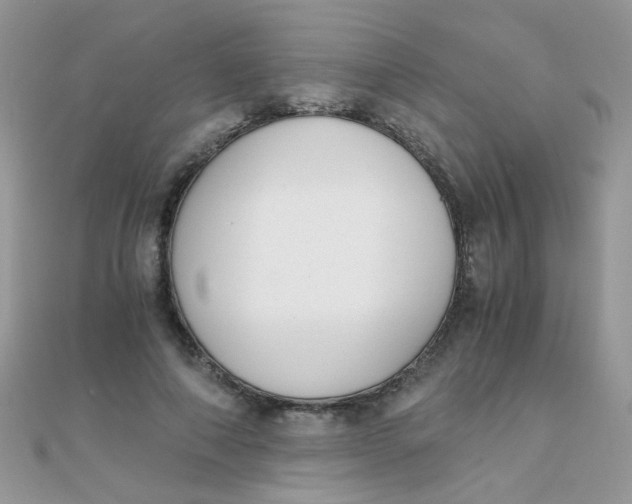 X0000110320690200906042044