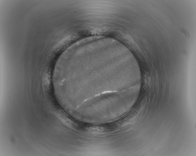 X0000110320691200906042044