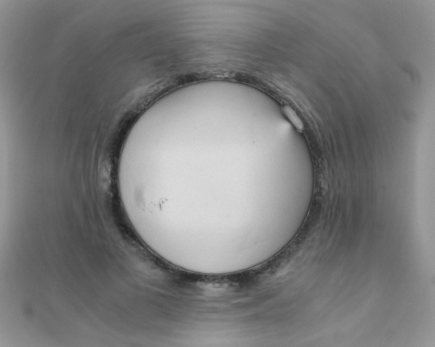 X0000110320693200906042044