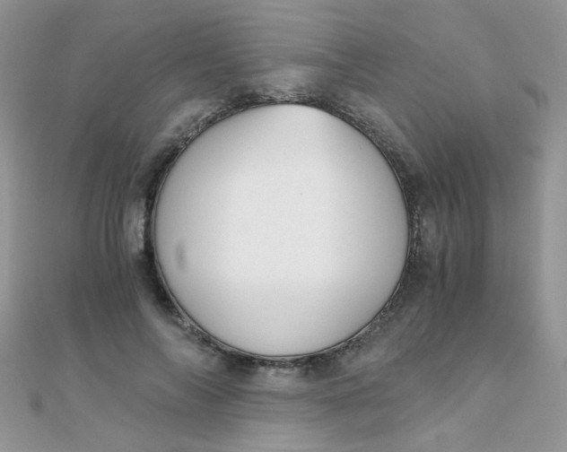 X0000110320694200906042044