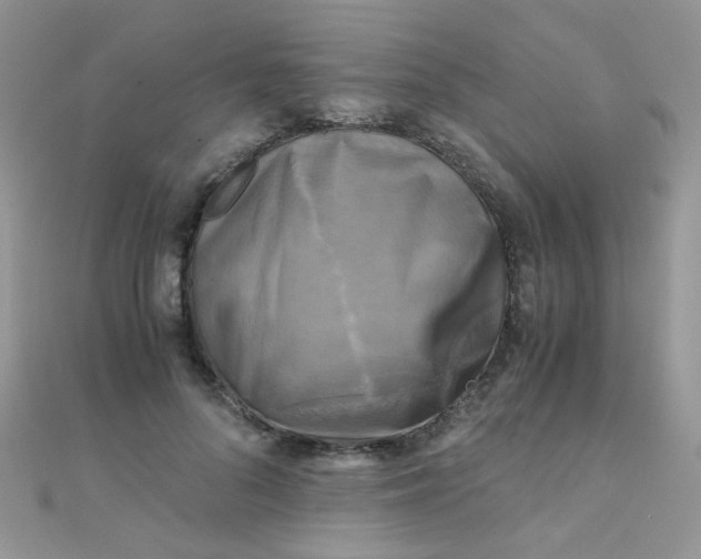 X0000110320696200906042044