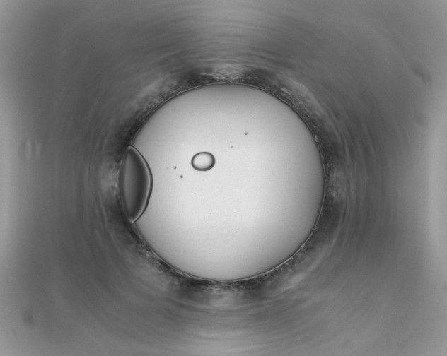 X0000110320697200906042044